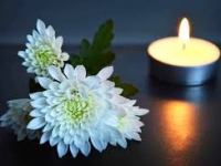 Kings Deserve Kingly&nbsp;Elements